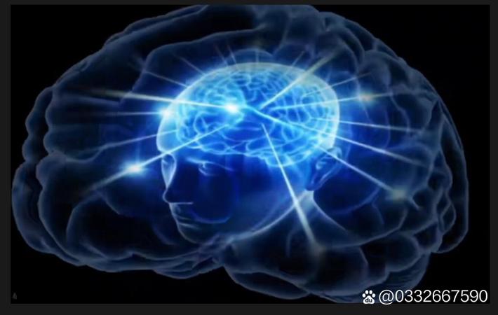 吃瓜网每日大赛 - 某女主播下播后忘关麦，私下言论引发轩然大波